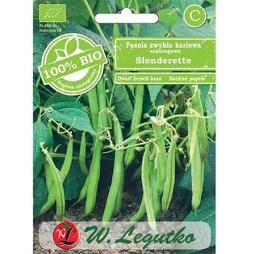 Fasola szparagowa karłowa Slenderette interface.art zdjęcie 1 Fasola szparagowa karłowa Slenderette interface.image 1 interface.art 96828