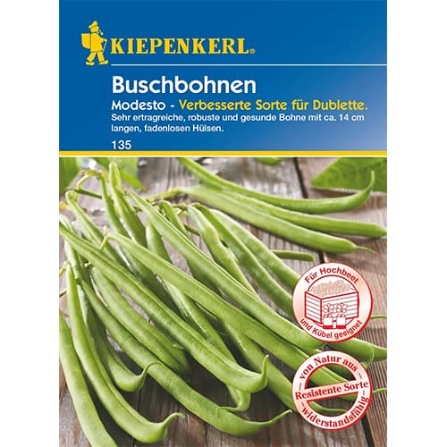 Fasola szparagowa Modesto interface.image 1 interface.art 96602