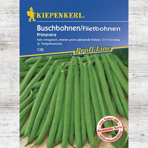 Fasola szparagowa Primavera interface.image 1 interface.art 86406