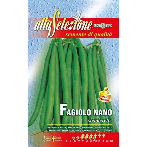 Fasola szparagowa Slenderette Morami interface.image 1 interface.art 96383