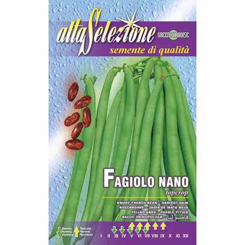 Fasola szparagowa Top Crop Morami interface.image 1 interface.art 96384