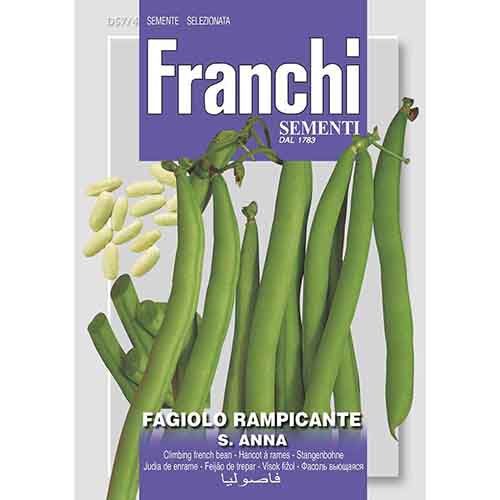 Fasola tyczna S. Anna Morami interface.image 1 interface.art 96385