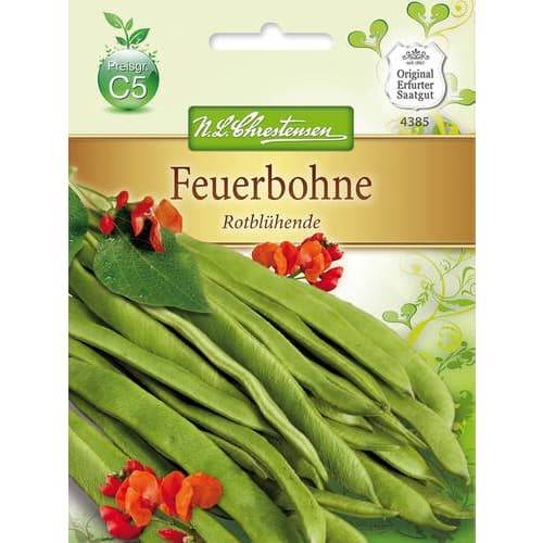 Fasola Rotbluhende interface.image 1 interface.art 78829