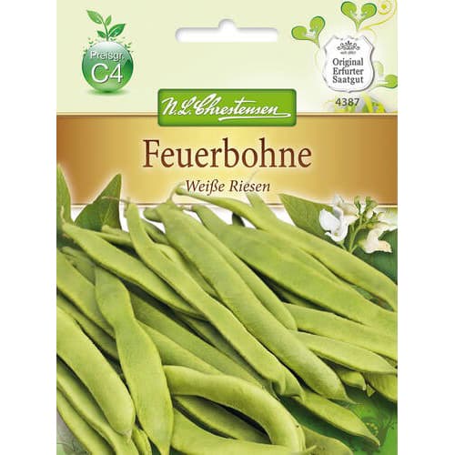 Fasola Weise Riesen interface.image 1 interface.art 78830