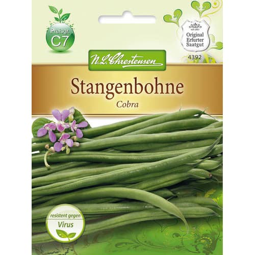 Fasola Cobra interface.image 1 interface.art 78833