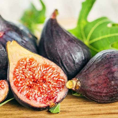 Figowiec Royal Black interface.image 1 interface.art 6929