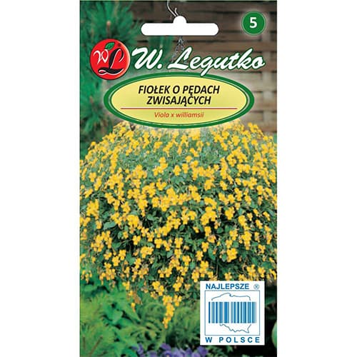 Fiołek o pędach zwisających żółty interface.image 1 interface.art 69587