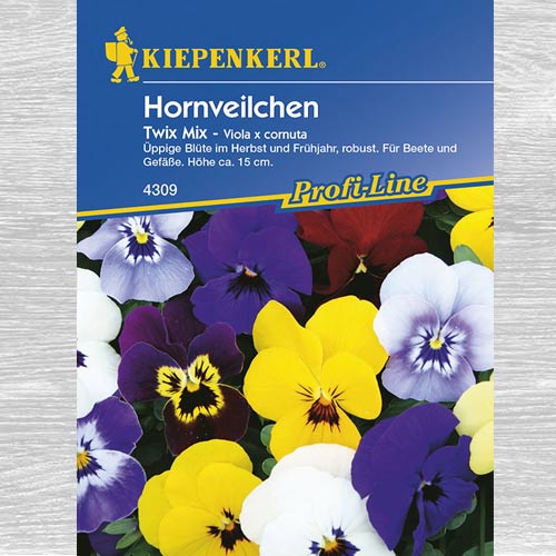 Fiołek rogaty Twix, mieszanka interface.image 1 interface.art 77453