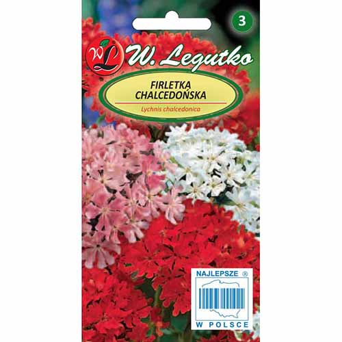 Firletka chalcedońska, mieszanka Legutko interface.image 1 interface.art 96740