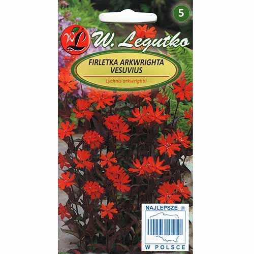 Firletka Vesuvius Legutko interface.image 1 interface.art 96771