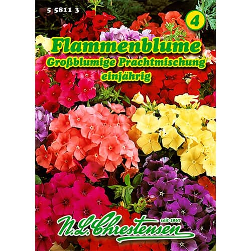 Floks Drummonda, mix kolorow interface.image 1 interface.art 86180