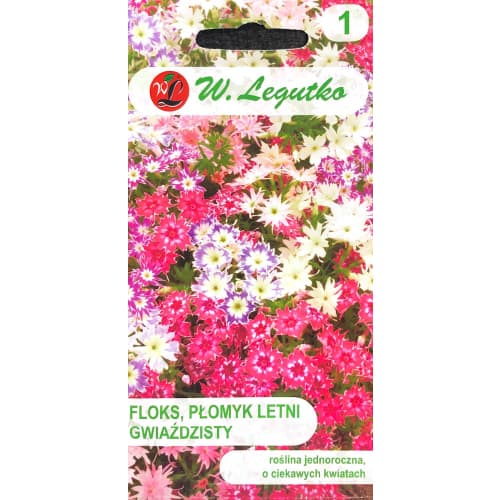 Floks Drummonda gwiaździsty, mix kolorow interface.image 1 interface.art 69588