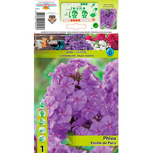 Płomyk Etoille de Paris interface.image 1 interface.art 76347