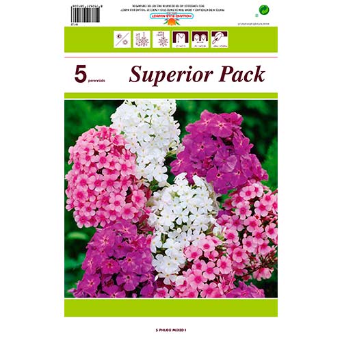 Floks (Płomyk), mix kolorów interface.image 1 interface.art 76491