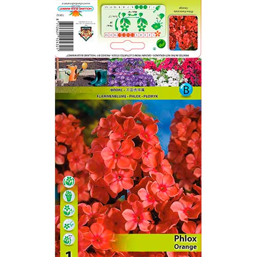 Płomyk Orange interface.image 1 interface.art 76617