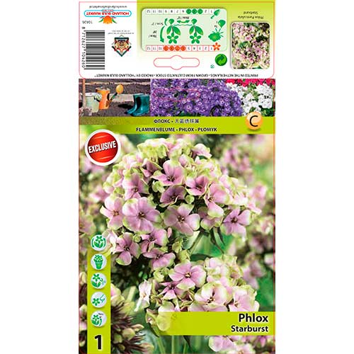 Płomyk Starburst interface.image 1 interface.art 76349