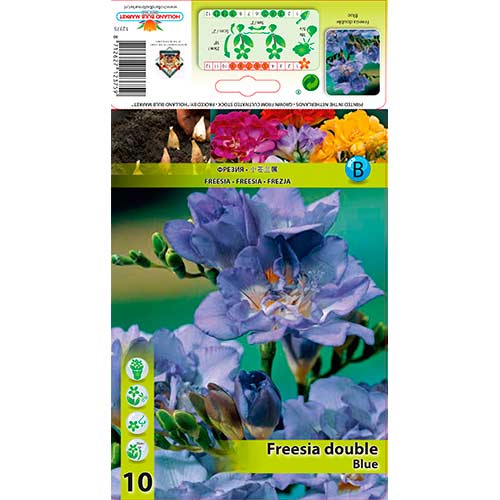 Frezja Double Blue interface.image 1 interface.art 76234