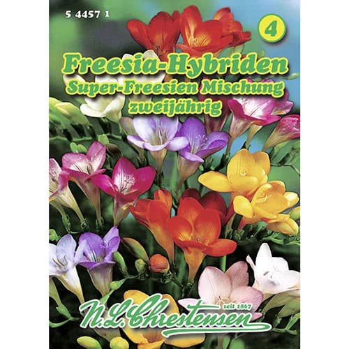 Frezja ogrodowa, mix kolorow interface.image 1 interface.art 96421