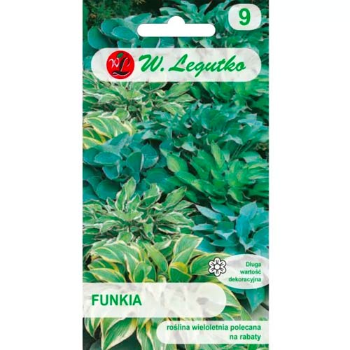 Funkia (Hosta), mix interface.image 1 interface.art 78600