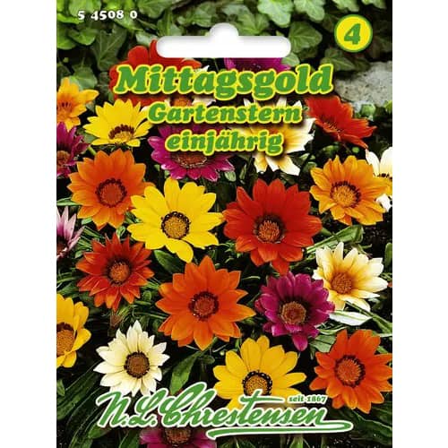 Gazania Gartenstern, mix kolorow interface.image 1 interface.art 96423