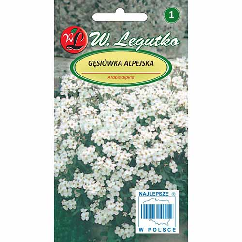 Gęsiówka alpejska biała Legutko interface.image 1 interface.art 96702