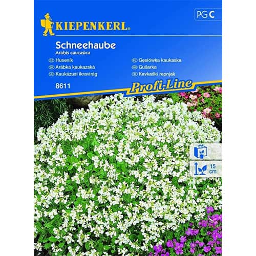 Gesiowka kaukaska interface.image 1 interface.art 96511