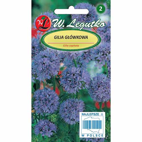 Gilia główkowa jasnoniebieska Legutko interface.image 1 interface.art 96703