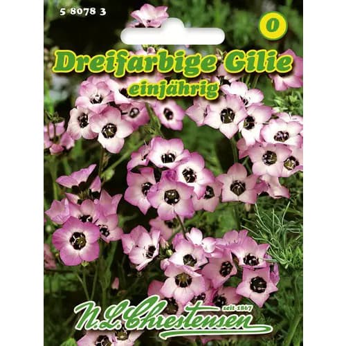 Gilia tricolor interface.image 1 interface.art 96458