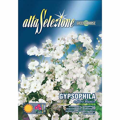 Gipsówka wytworna (Łyszczec) biała Morami interface.image 1 interface.art 96336