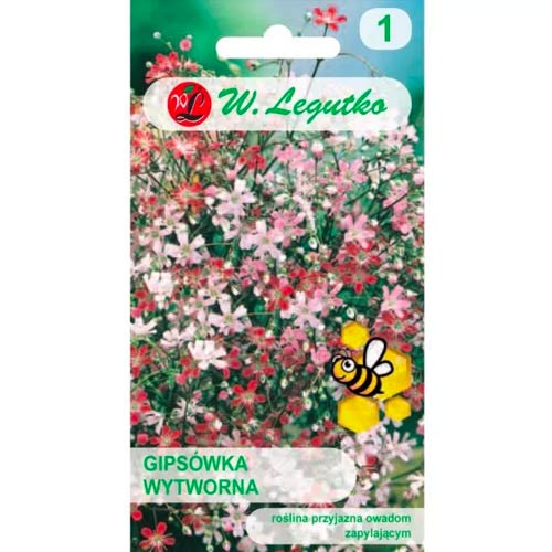 Gipsówka wytworna, mix interface.art zdjęcie 1 Gipsówka wytworna, mix interface.image 1 interface.art 78557