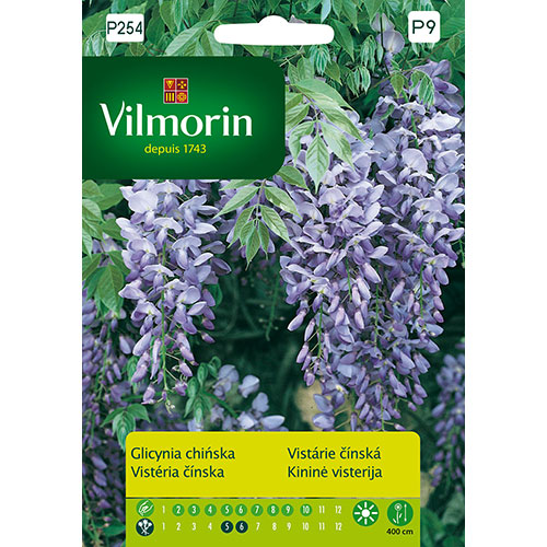 Glicynia chińska Vilmorin interface.art zdjęcie 1 Glicynia chińska Vilmorin interface.image 1 interface.art 86635