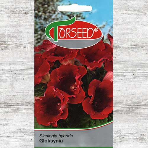 Gloksynia, mieszanka interface.image 1 interface.art 87042