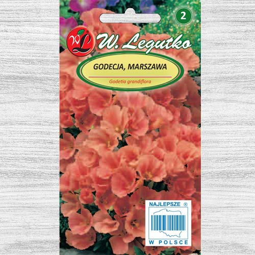 Godecja (Azalia letnia) pomarańczowa interface.image 1 interface.art 78558