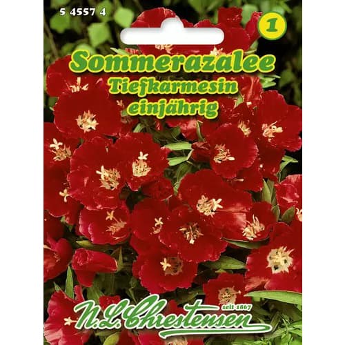 Godecja (Azalia) czerwona interface.image 1 interface.art 96425