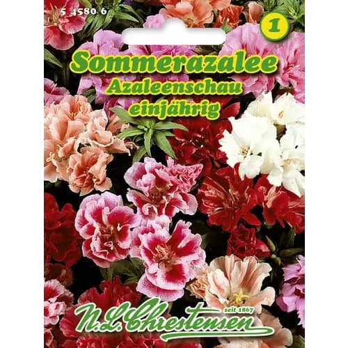 Godecja (Azalia) Chay, mix kolorow interface.image 1 interface.art 96424