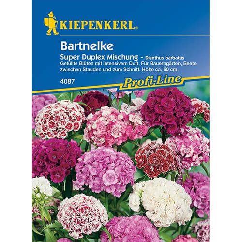 Gozdzik brodaty Super Duplex, mix kolorow interface.image 1 interface.art 86250