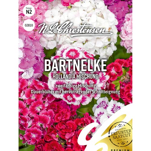 Gozdzik brodaty Hollandia, mix kolorow interface.image 1 interface.art 86123