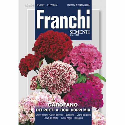 Goździk brodaty pełny, mieszanka kolorów Morami interface.image 1 interface.art 87318