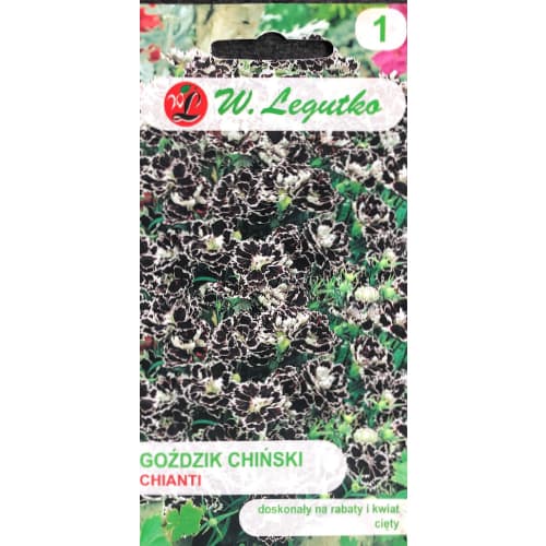 Goździk chiński Chianti interface.image 1 interface.art 69592