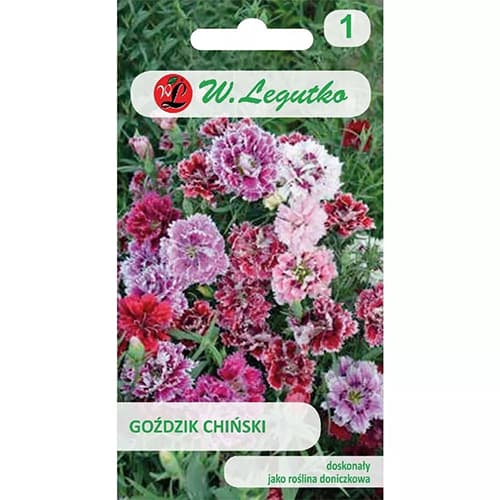 Goździk chiński, mix kolorow interface.image 1 interface.art 78564