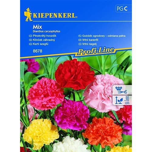 Gozdzik ogrodowy pelny, mix kolorow interface.image 1 interface.art 96527