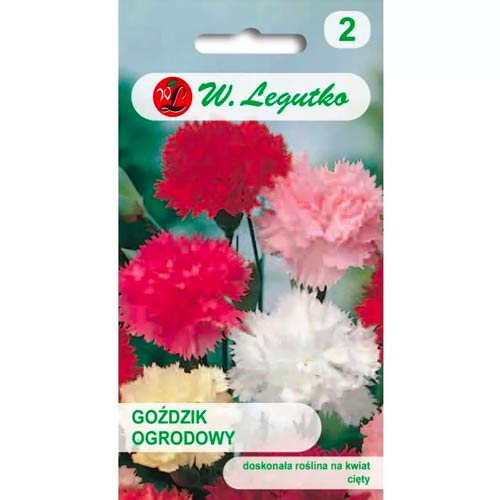 Goździk ogrodowy, mix interface.art zdjęcie 1 Goździk ogrodowy, mix interface.image 1 interface.art 50101