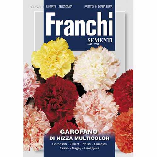 Goździk ogrodowy pełny, mieszanka kolorów Morami interface.image 1 interface.art 87317