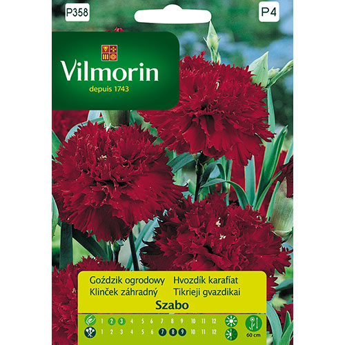 Goździk ogrodowy Szabo Picotte Vilmorin interface.image 1 interface.art 86636