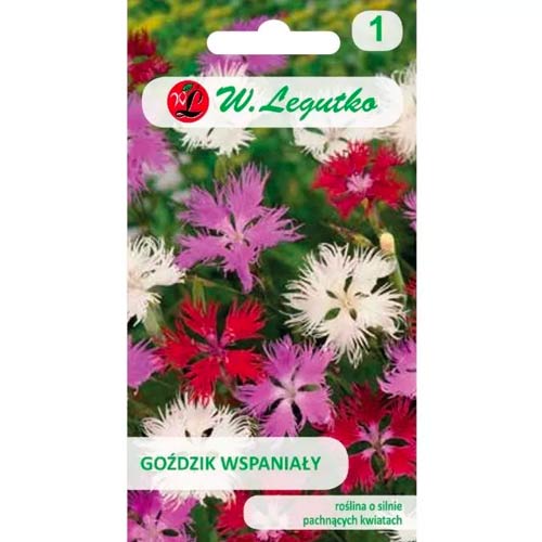 Goździk wspaniały, mix interface.image 1 interface.art 50103