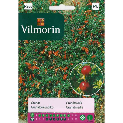 Granat, nasiona Vilmorin interface.art zdjęcie 1 Granat, nasiona Vilmorin interface.image 1 interface.art 86637