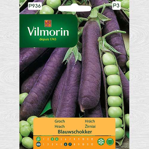 Groch Blauwschokker interface.image 1 interface.art 69727