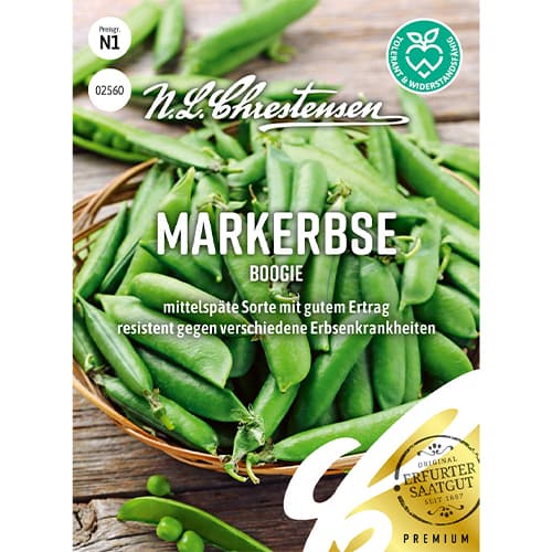 Groch Boogie interface.image 1 interface.art 86058