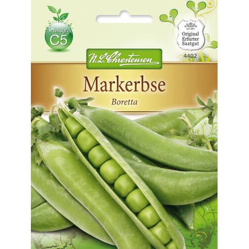 Groch Boretta interface.image 1 interface.art 78837