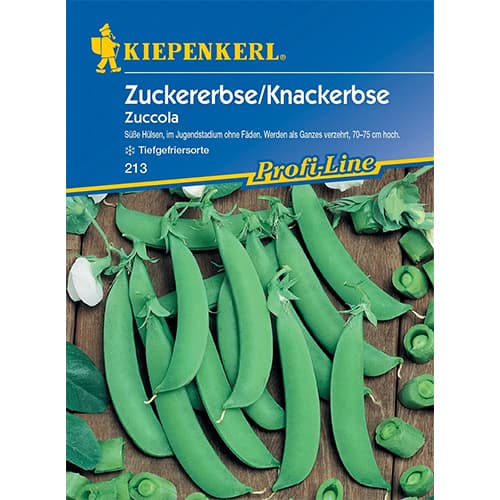 Groch Zuccola interface.image 1 interface.art 77480